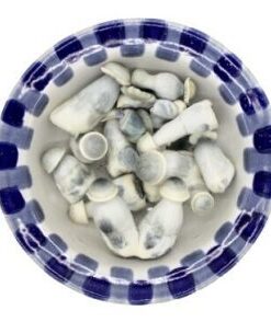 Lyophilized Albino Penis Envy Magic Mushrooms